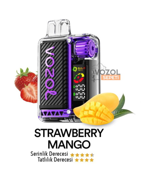 Vozol Vista 20000 Strawberry Mango