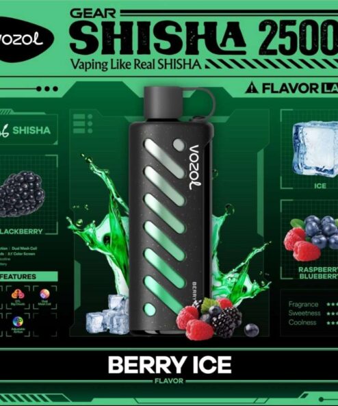 Vozol Gear Shisha 25000 Berry ice