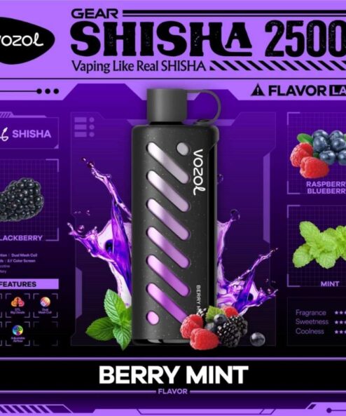 Vozol Gear Shisha 25000 Berry Mint