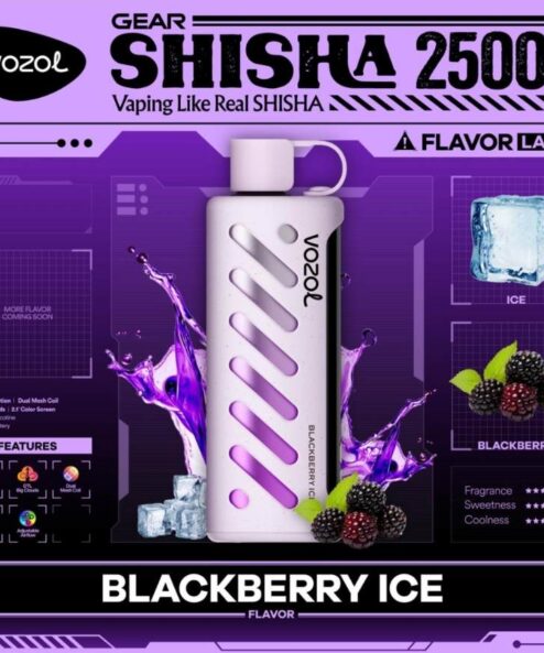 Vozol Gear Shisha 25000 Blackberry ice
