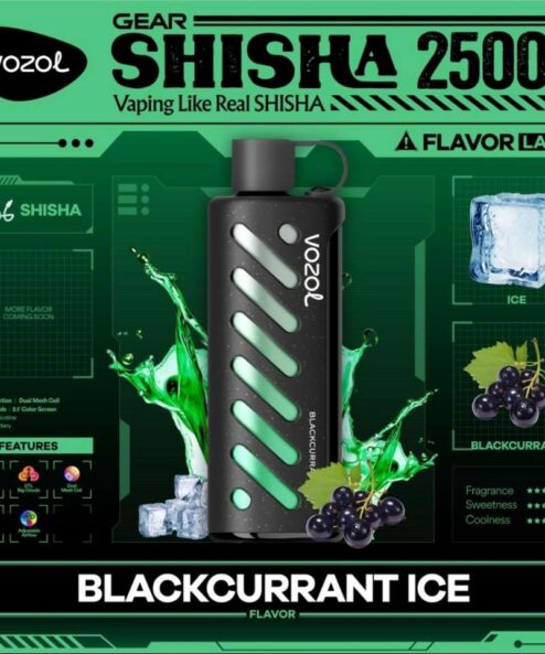 Vozol Gear Shisha 25000 Blackcurrant ice