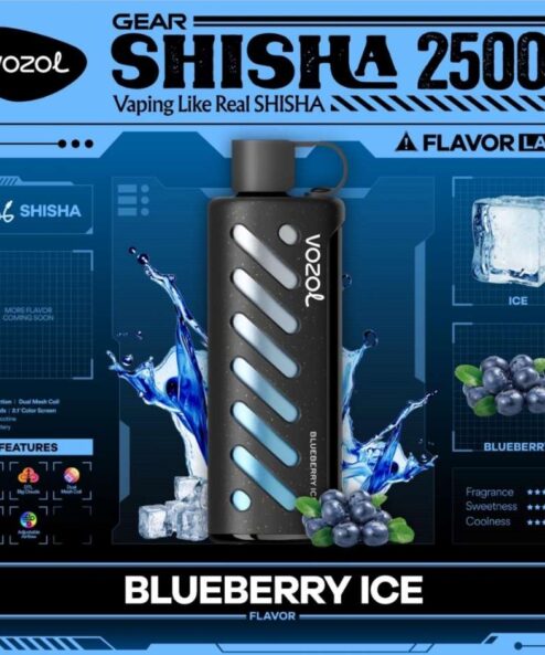 Vozol Gear Shisha 25000 Blueberry ice