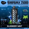 Vozol Gear Shisha 25000 Blueberry mint