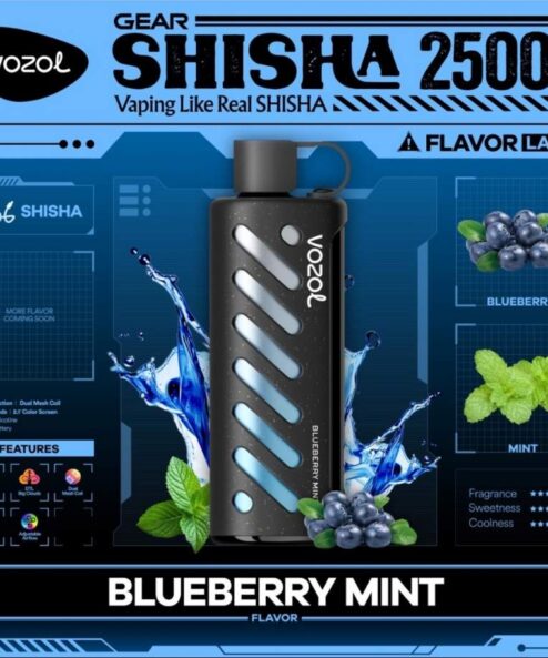 Vozol Gear Shisha 25000 Blueberry mint