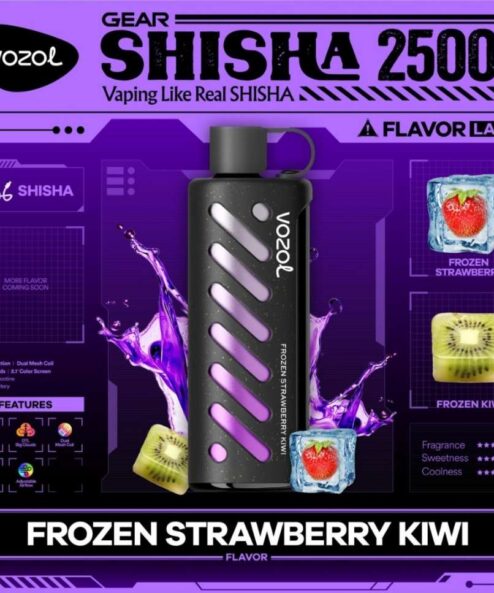 Vozol Gear Shisha 25000 Frozen Strawberry Kiwi