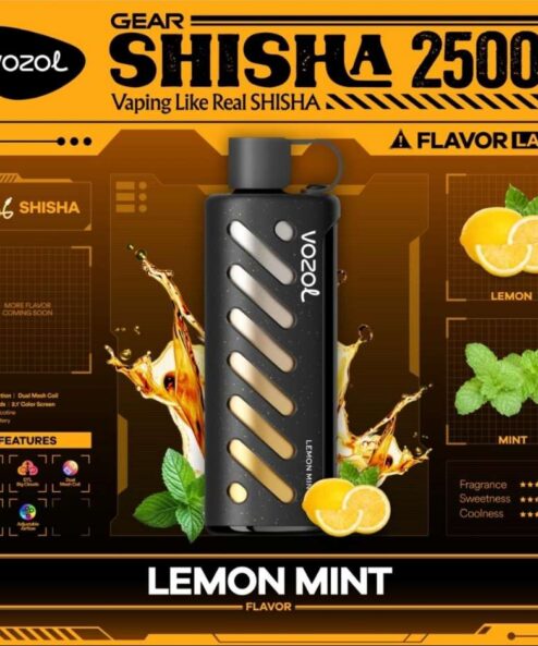 Vozol Gear Shisha 25000 Lemon Mint