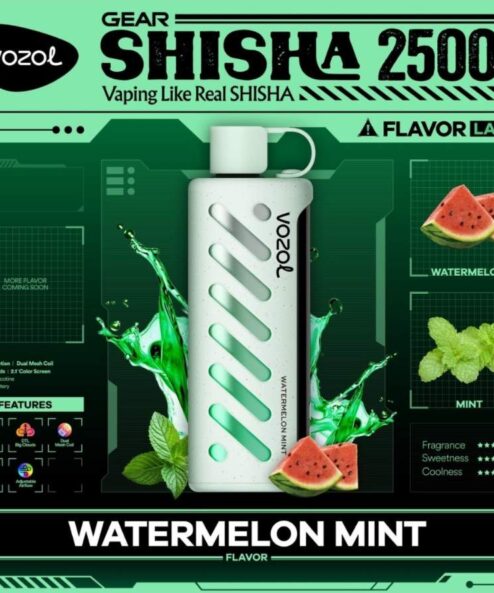 Vozol Gear Shisha 25000 Watermelon Mint