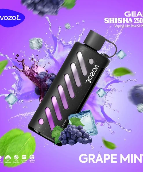Vozol Gear Shisha 25000 Grape Mint