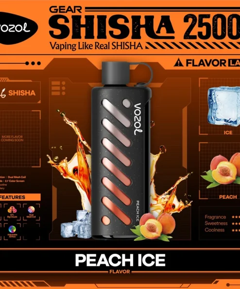 Vozol Gear Shisha 25000 Peach ice