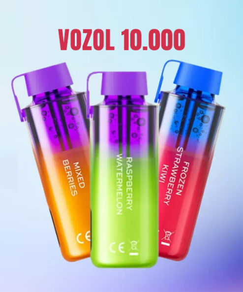 Vozol Neon 10000
