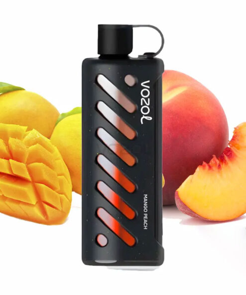 Vozol Gear Shisha 25000 Mango Peach