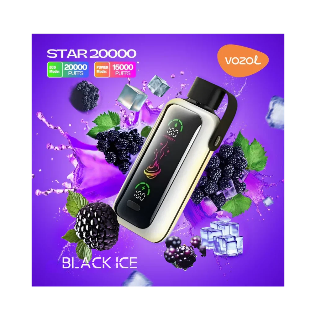 Vozol Gear Power 20000 Black ice Puff