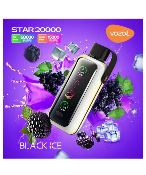 Vozol Gear Power 20000 Black ice Puff